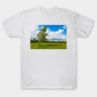 Lonely birch torn by the strong wind T-Shirt